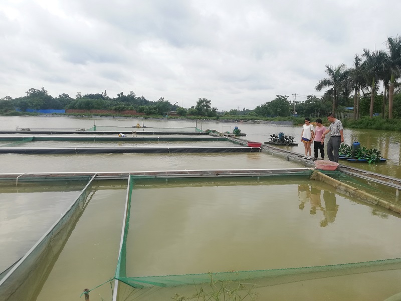 余氯分析儀可提前預(yù)防養(yǎng)殖風險 余氯分析儀可提前預(yù)防養(yǎng)殖風險