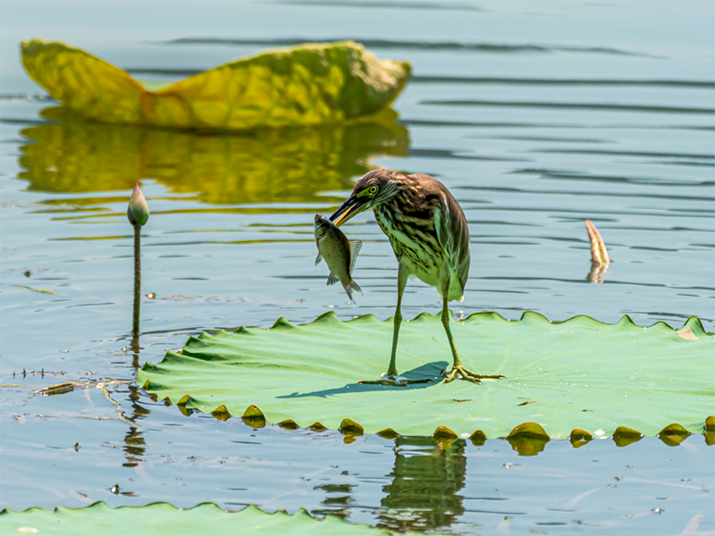 水質(zhì)檢測(cè)儀器 水質(zhì)檢測(cè)儀器