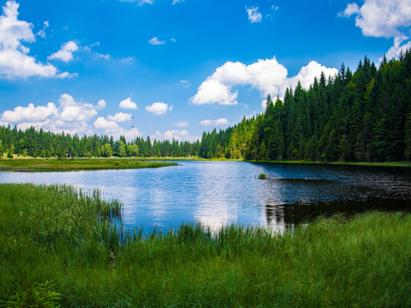 COD水質(zhì)檢測(cè)儀