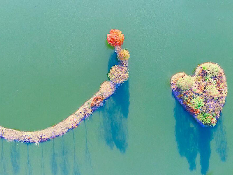 在線pH檢測(cè)儀多久標(biāo)定一次