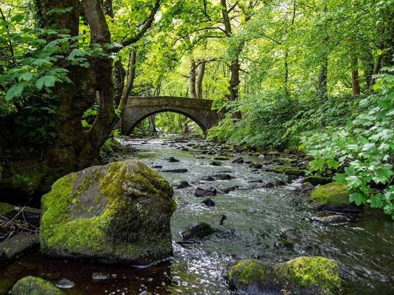 如何解決COD測定過程遇到的問題